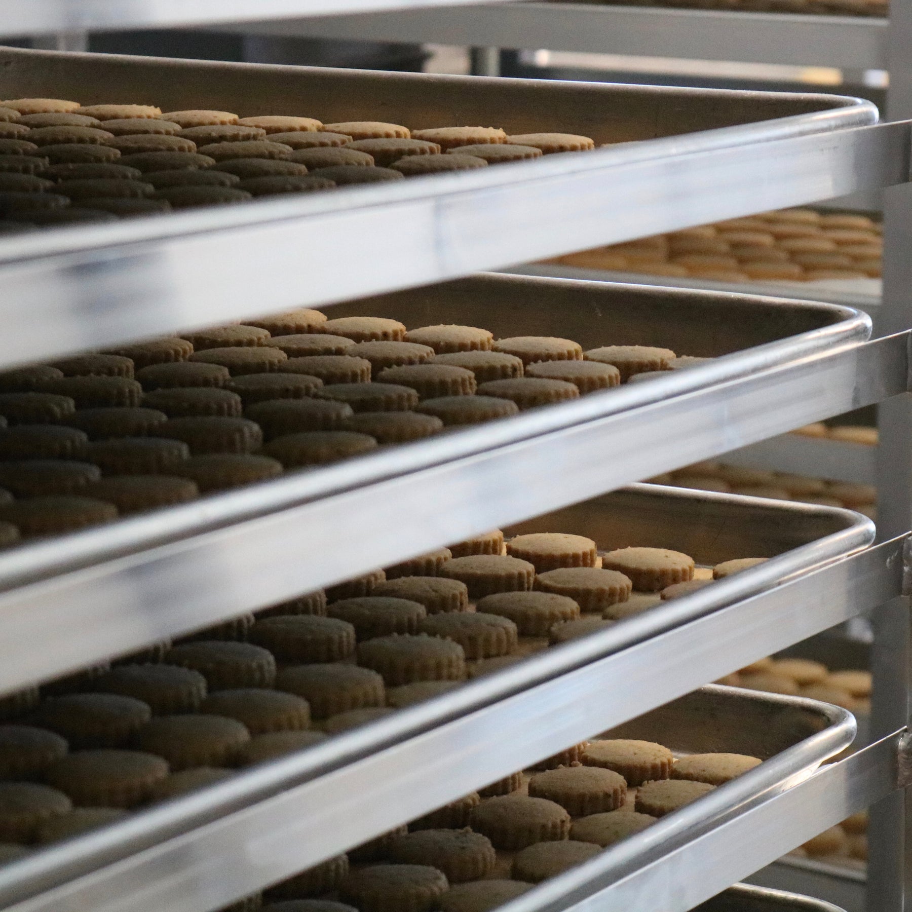 Douglas Sweets Shortbread Cookies on Sheet Tray in bakery